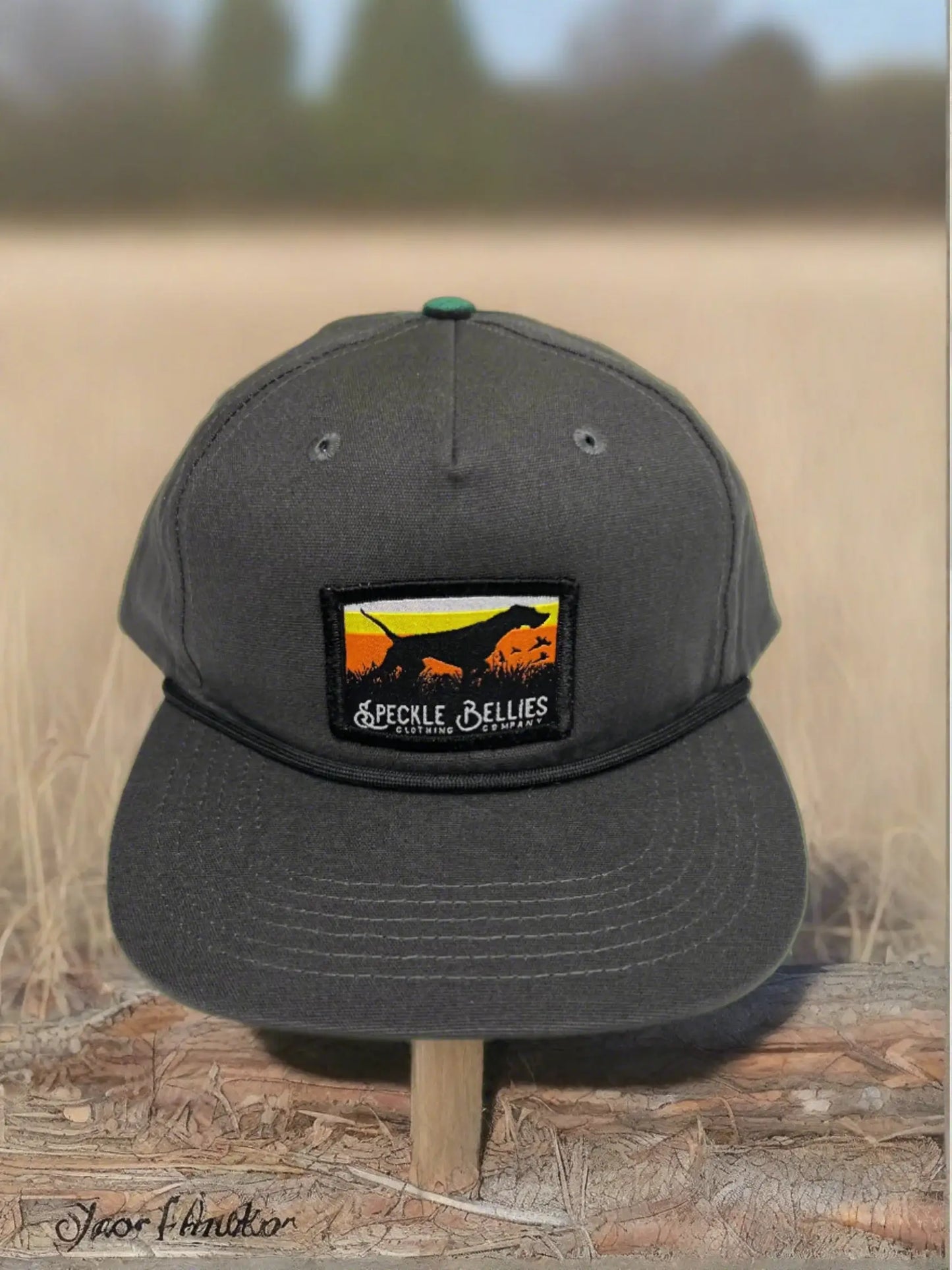 Pointer Patch