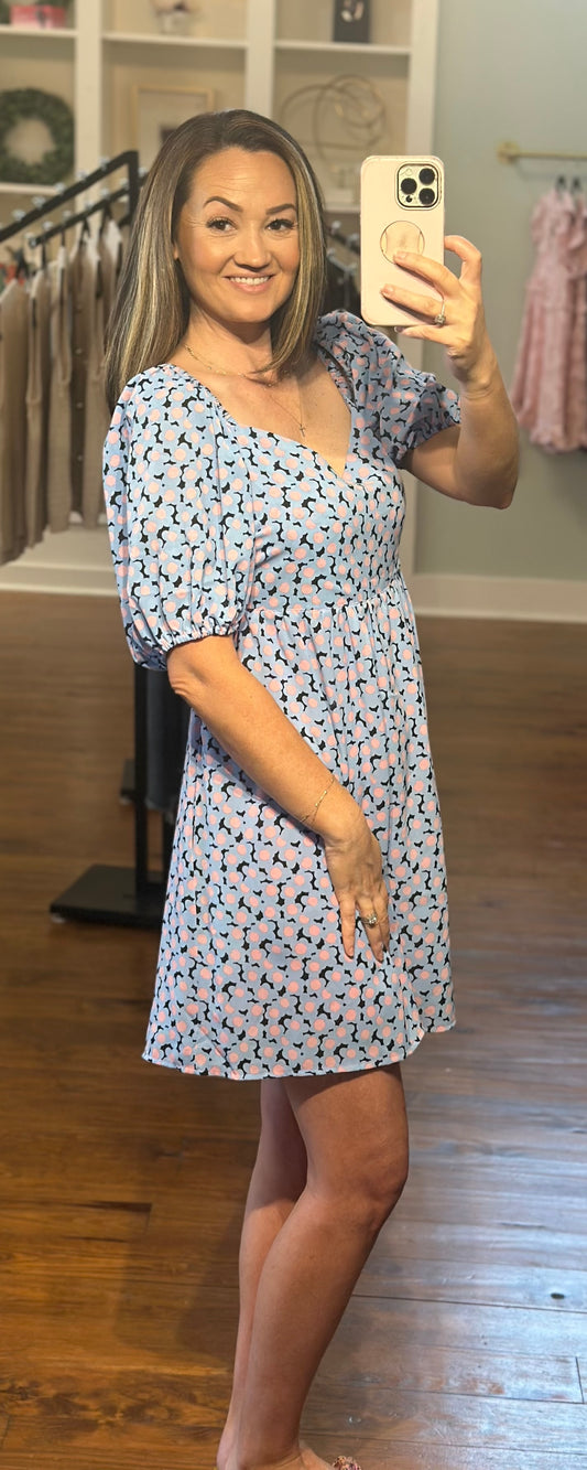 Baby Pink & Blue Dress